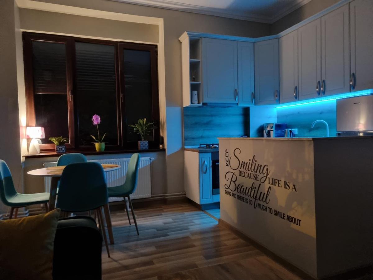 City Inn Premium Apartment 2 Timișoara Zewnętrze zdjęcie